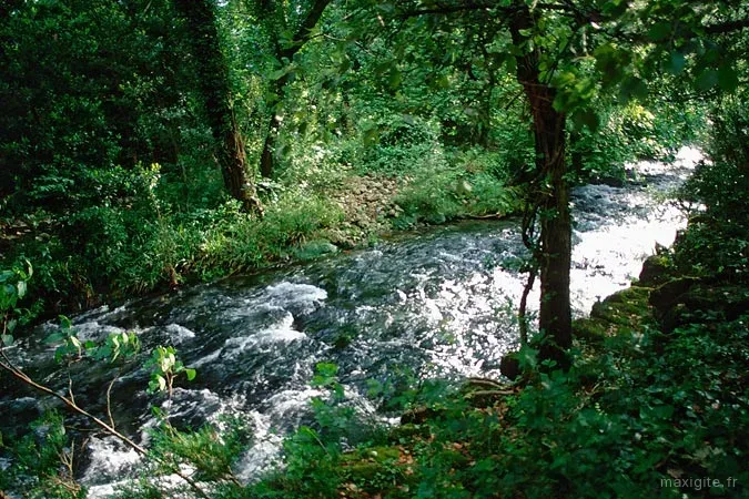 Rivière vive encadrée de végétation luxuriante dans les gorges de la Séranne