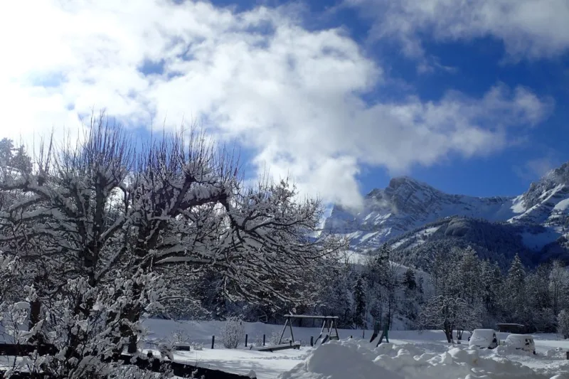 Jardin enneigé avec arbres givrés et vue sur sommet du Vercors sous ciel bleu