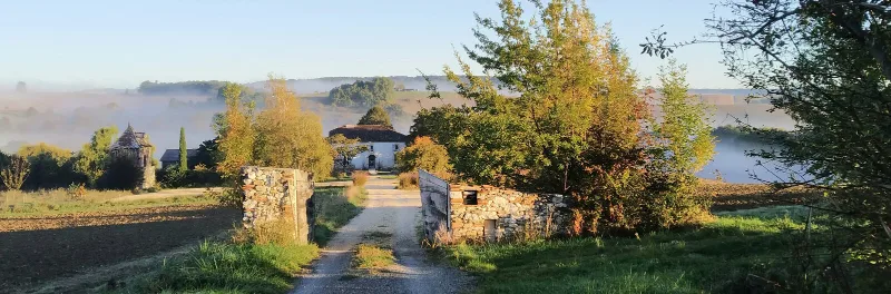 Allée de gravier menant à la ferme en pierre entourée de champs dans la brume matinale