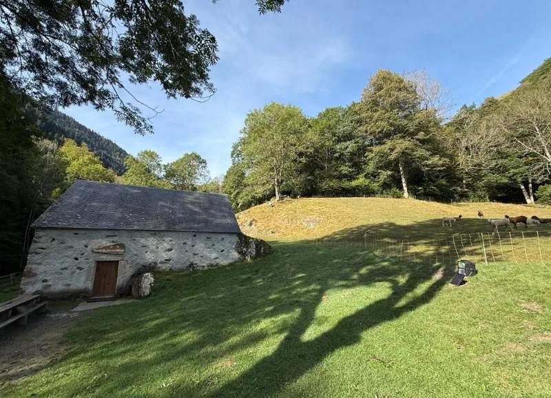 Grange en pierre du domaine, nichée dans un pré entouré de forêt et de montagnes