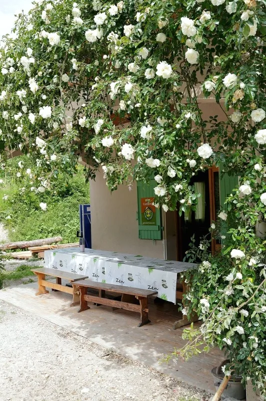 Grande table dressée sous une tonnelle de rosiers blancs pour les repas en extérieur