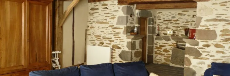 Séjour voûté en pierre apparente avec cheminée traditionnelle et poutres anciennes