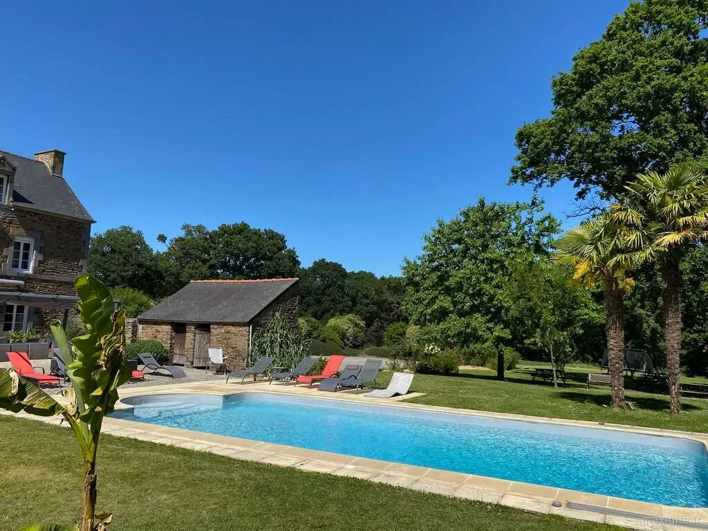 Piscine exterieure entouree de transats et de pelouse avec palmiers