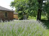 Jardin verdoyant avec arbres centenaires entourant la ferme du XVIe siècle