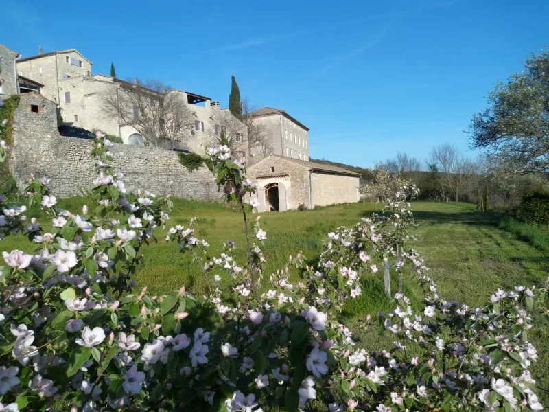 Hameau de pierre perché sur les remparts avec arbres en fleurs et grand pré en contrebas