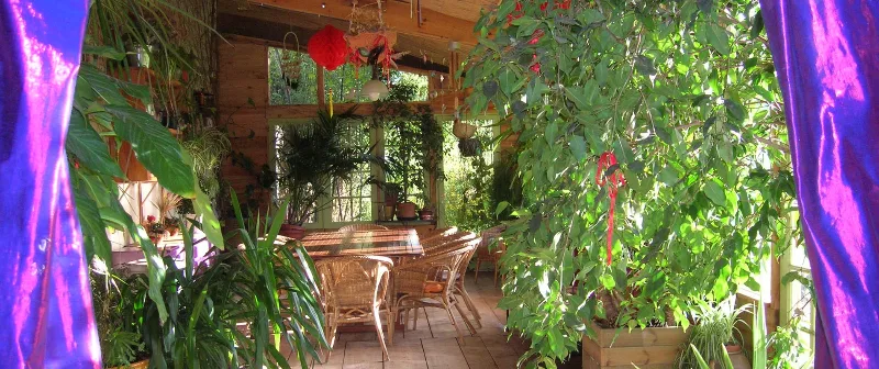 Véranda cocooning envahie de plantes vertes avec grande table conviviale pour 20 personnes