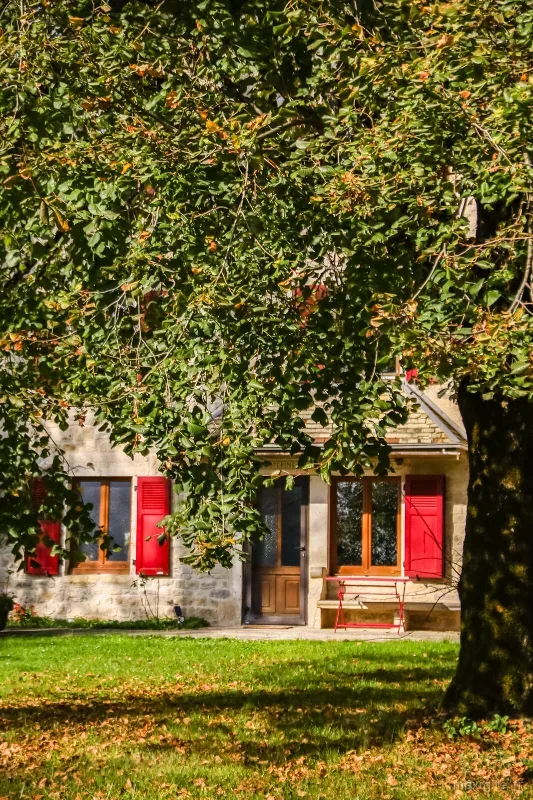 Ferme comtoise du XIXe siècle aux volets rouges cachée sous un grand tilleul centenaire