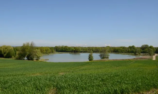 Étang privé de 3 hectares entouré de prairies et de bois, accessible en pêche depuis le gîte