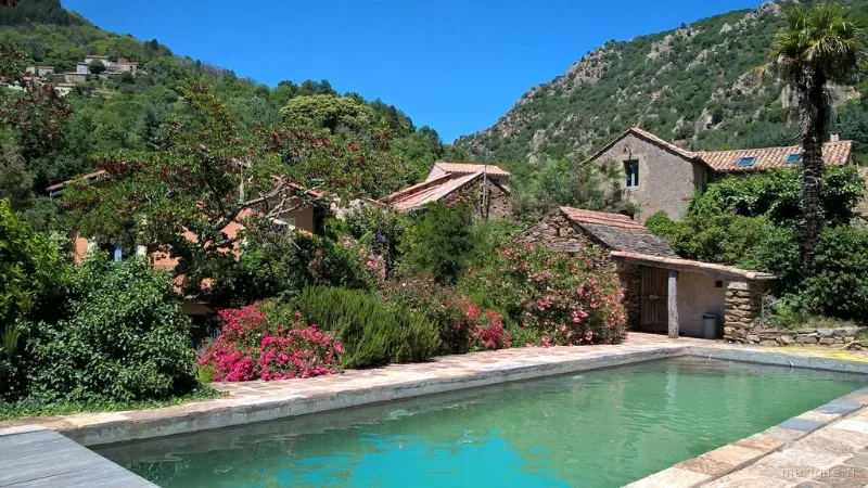 Façade en pierre du gîte entourée de piscine turquoise, palmier et massifs de fleurs roses