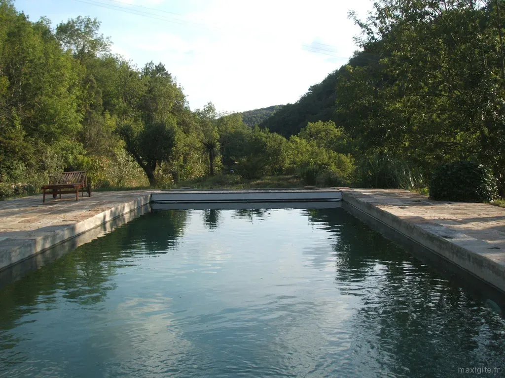Piscine naturelle entourée de palmiers avec vue sur la colline boisée en fin de journée