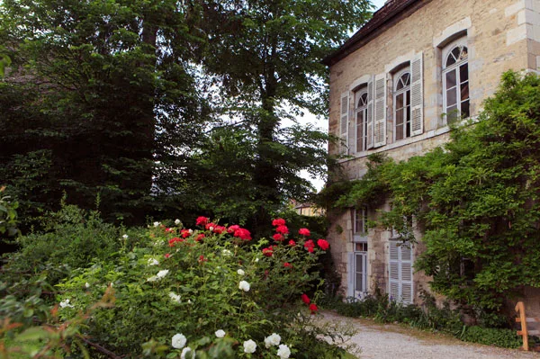 Façade en pierre ornée de rosiers grimpants en fleurs