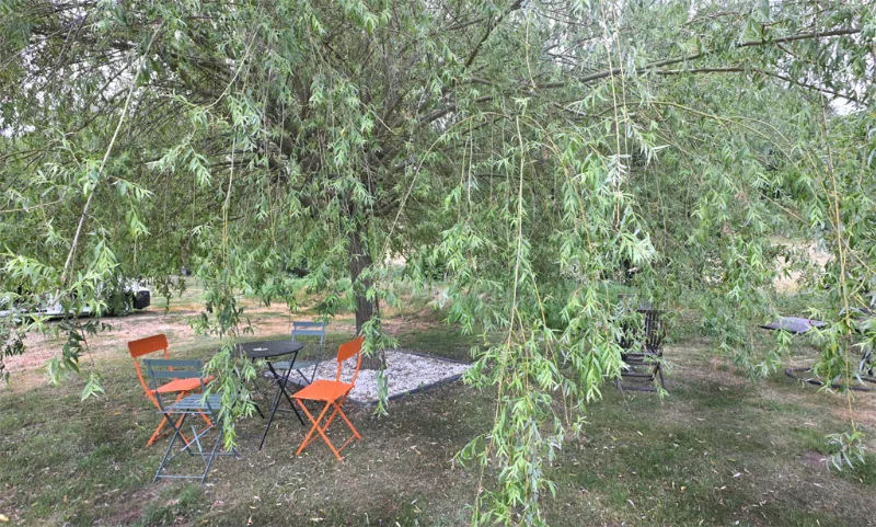 Coin détente extérieur avec table et chaises colorées à l'ombre d'un saule