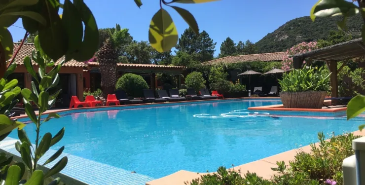 Piscine vue à travers les feuillages, chaises longues et parasols rouges