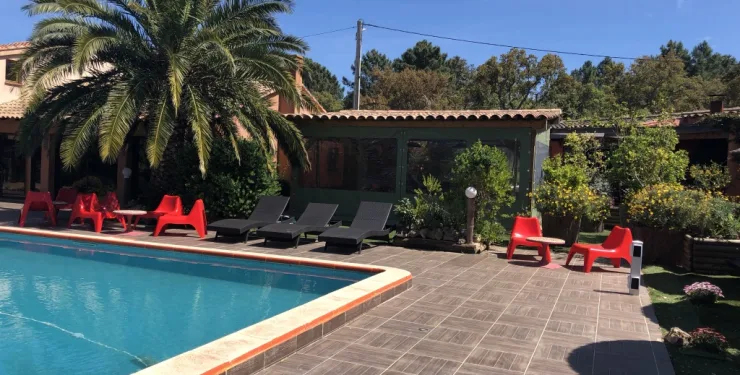 Vue d'ensemble de la piscine et du jardin planté de palmiers