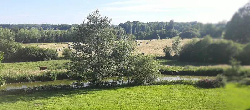 Parc de 10 000 m² du Domaine de Thauzac en bordure de rivière