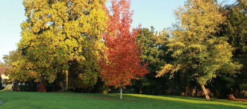 Le parc du Domaine de Thauzac en automne