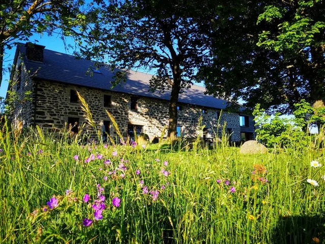 Façade en pierre du gîte La Redonde, entourée de prairie fleurie en été