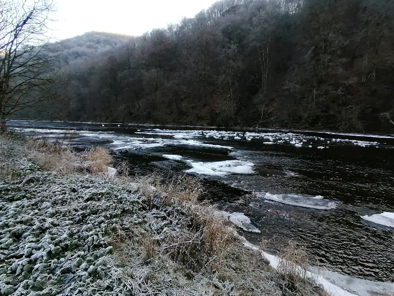 Rivière Semoy et forêts ardennaises vues depuis le Domaine d'Haulmé, paysage naturel