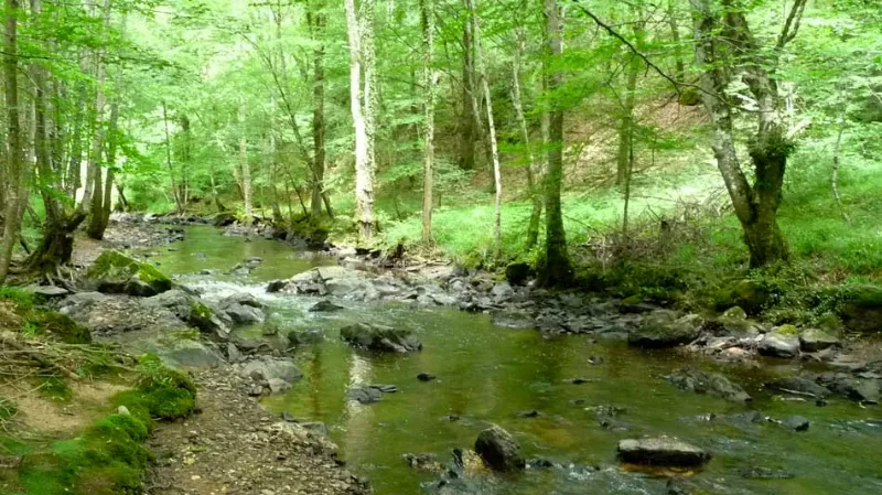 Piscine chauffée couverte du domaine du Moulin Berthon entourée de verdure à Vernusse
