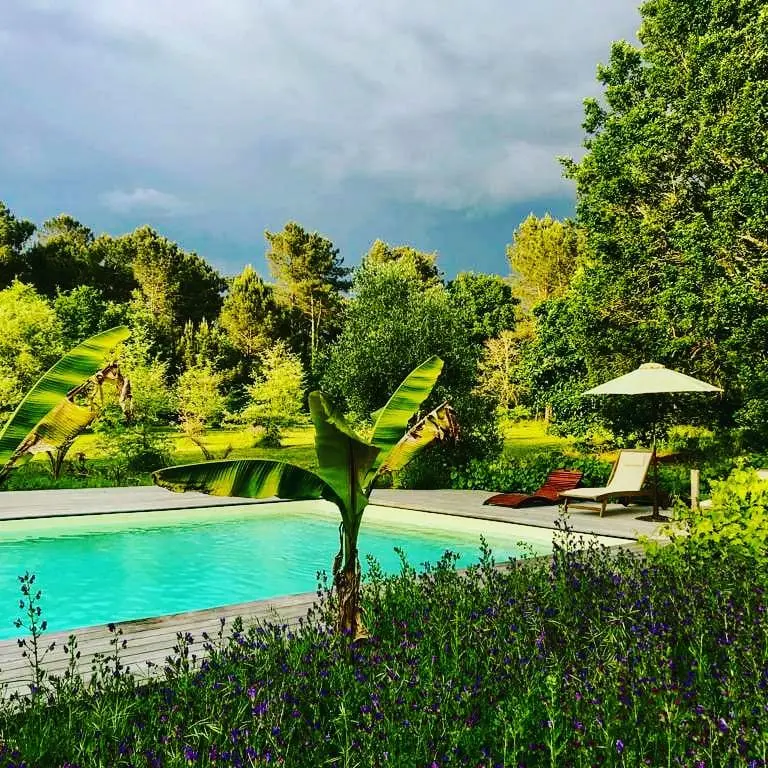 Piscine tropicale entourée de bananiers avec transats et parasol