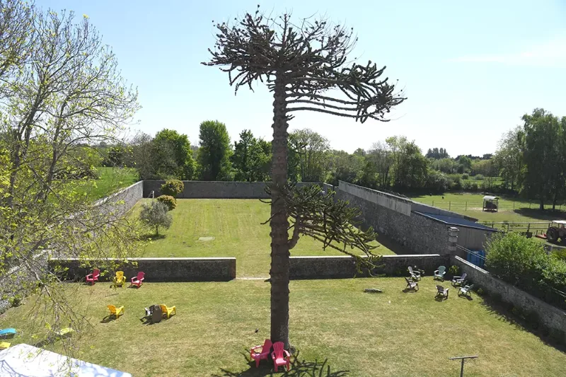 Grand jardin arboré du domaine avec pelouse et arbre remarquable