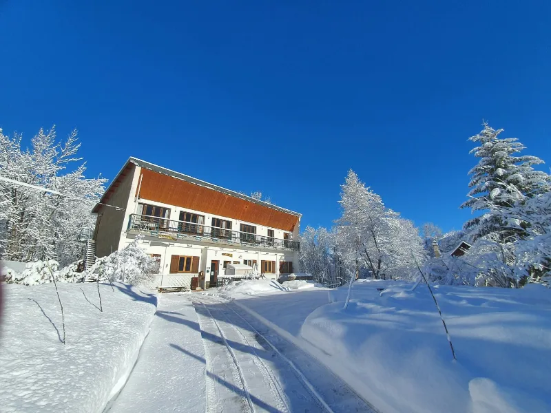 Façade du gîte entourée de sapins enneigés, ciel bleu et volets bois apparents