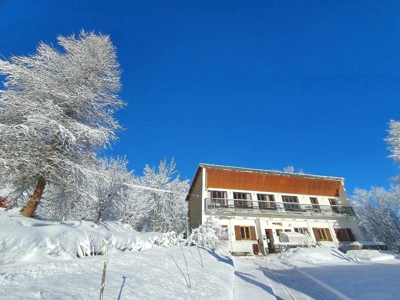 Chalet Le Val d'Or sous ciel bleu hivernal, arbres givrés autour du bâtiment