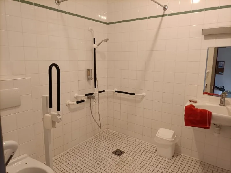 Salle de bain adaptée PMR avec douche à l'italienne équipée de barres d'appui