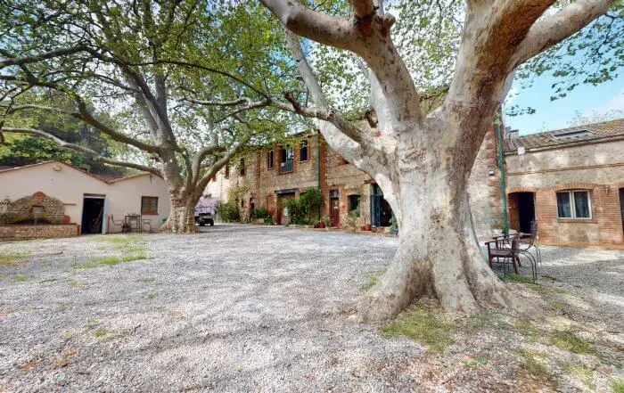 Cour intérieure du domaine bordée de bâtiments en pierre catalane, ombragée par un grand platane centenaire