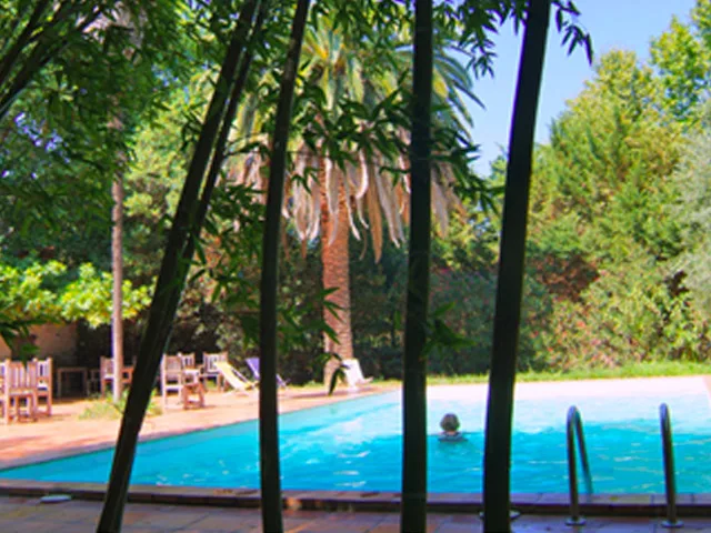 Piscine extérieure ombragée par des palmiers et bambous, avec terrasse et transats