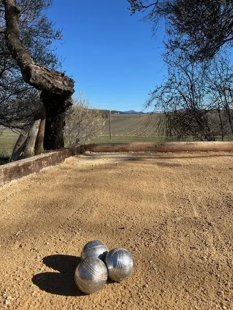 Terrain de pétanque du domaine entouré d'oliviers avec vue sur le plateau