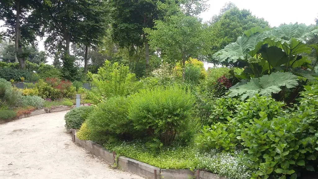 Gîte de groupe Aux Greniers à Rêves à Plestan — Jardin paysager luxuriant avec arbustes variés et allée de gravier, capacité 21 personnes