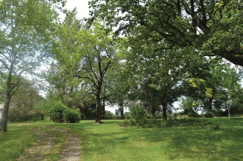 Grand parc arboré du domaine avec pelouse dégagée pour les activités de groupe