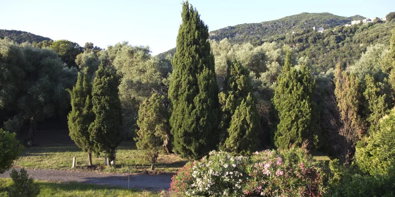 Vue sur la nature environnante depuis le domaine du couvent