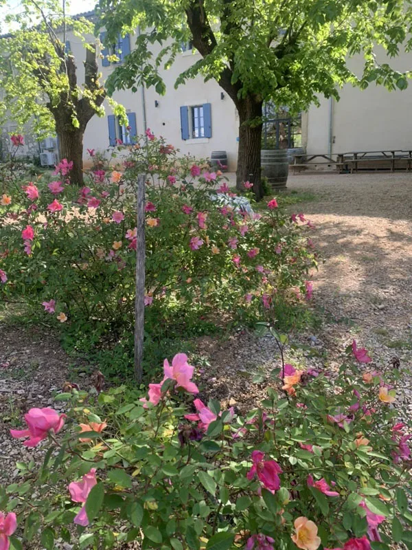 Gîte de groupe Le Mas des Tilleuls à Aniane — Le Mas des Tilleuls – Aniane, capacité 22 personnes