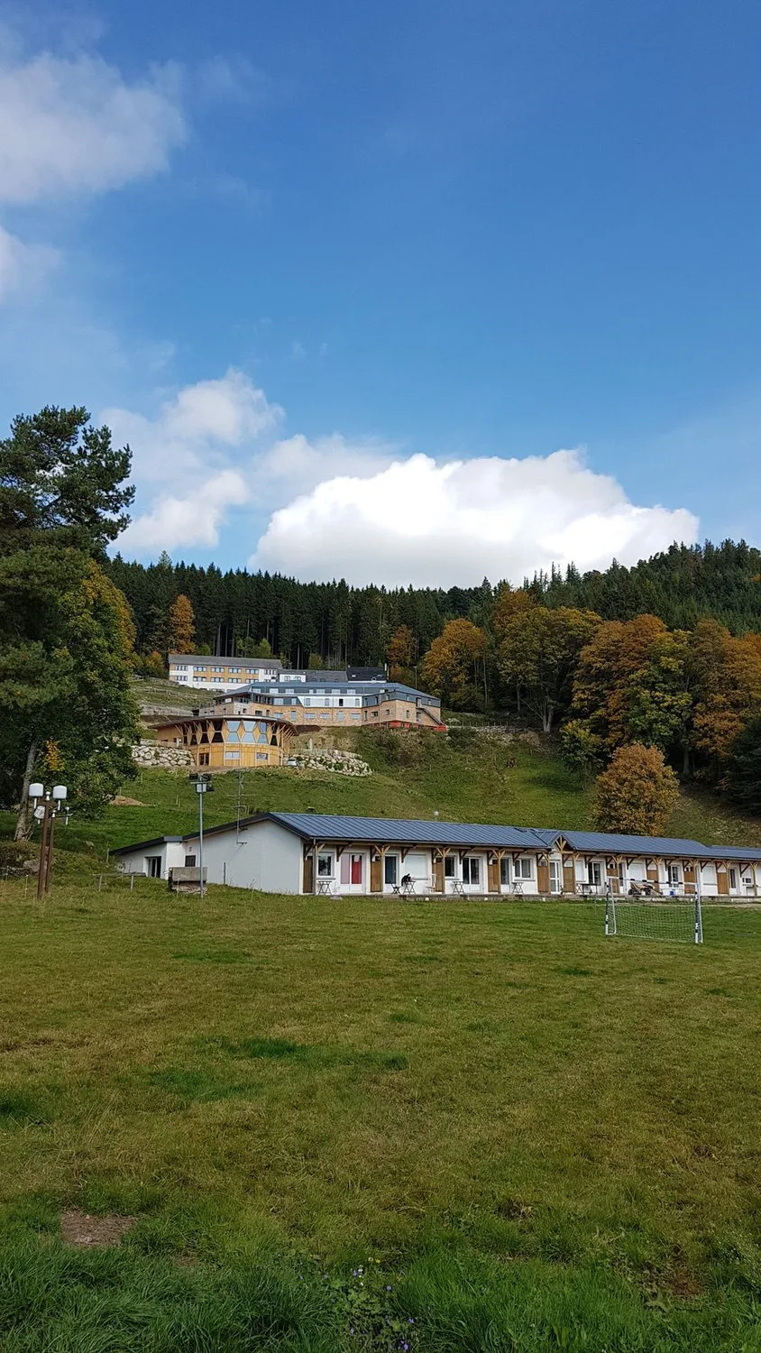 Gîte de groupe Gîtes Les Coprins à Orbey — Vue d'ensemble du domaine sur un coteau boisé, avec grand pré et bâtiments en pierre et bois, capacité 44 personnes