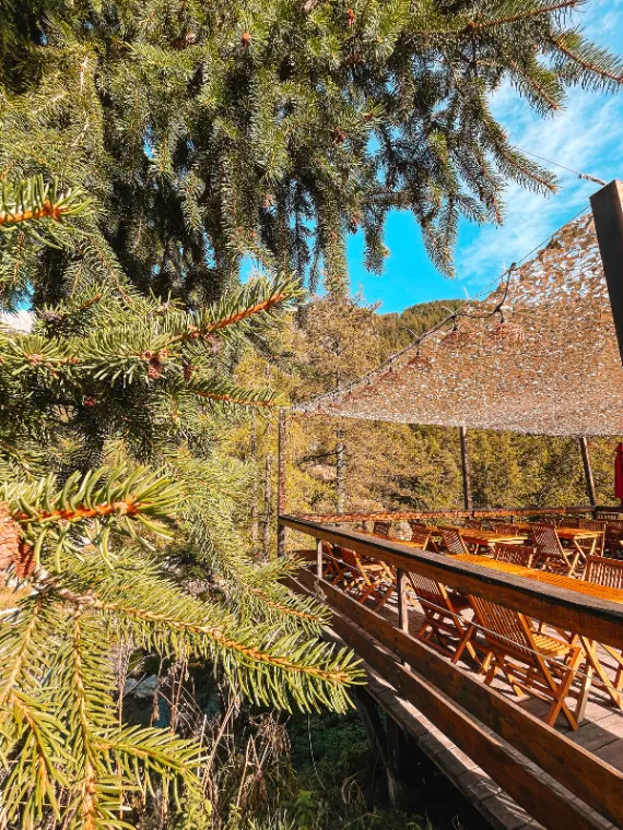 Terrasse en bois ombragée sous les arbres, coin repas extérieur
