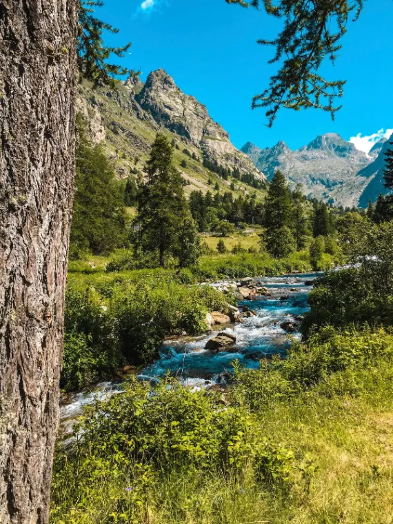 Rivière de montagne coulant entre rochers et forêt dans la vallée des Merveilles