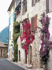 Façade en pierre du village fleurie de rosiers grimpants dans une rue de Saint-Jeannet