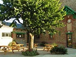 Cour extérieure ombragée par un grand tilleul avec tables de pique-nique