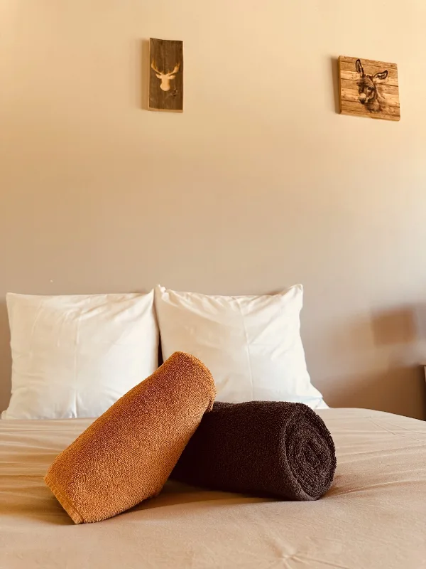 Détail d'une chambre avec linge de lit et serviettes moelleuses, décor montagnard