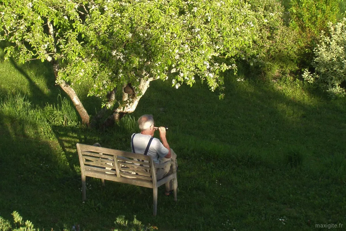 Jardin arboré du domaine avec vue dégagée sur la campagne aveyronnaise