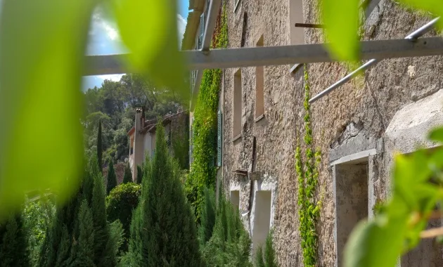 Façade en pierre couverte de vigne vierge avec vue sur les collines boisées