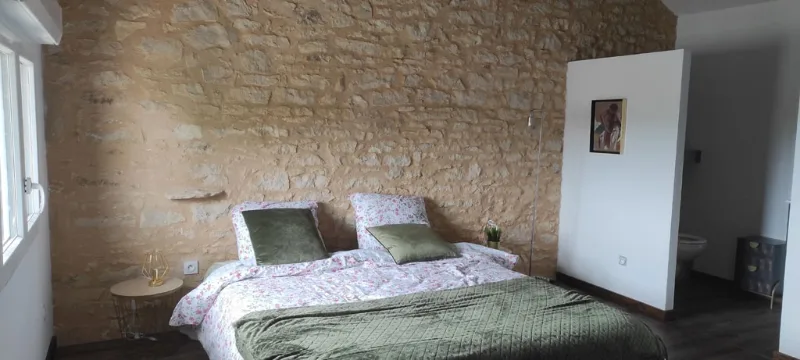 Chambre double avec mur en pierre apparente et salle d'eau attenante