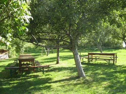 Grand jardin arboré avec tables de pique-nique à l'ombre des arbres