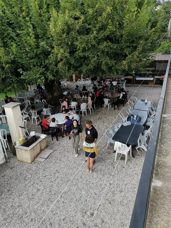 Repas de groupe en plein air sous un grand tilleul centenaire avec tables et chaises disposées en extérieur
