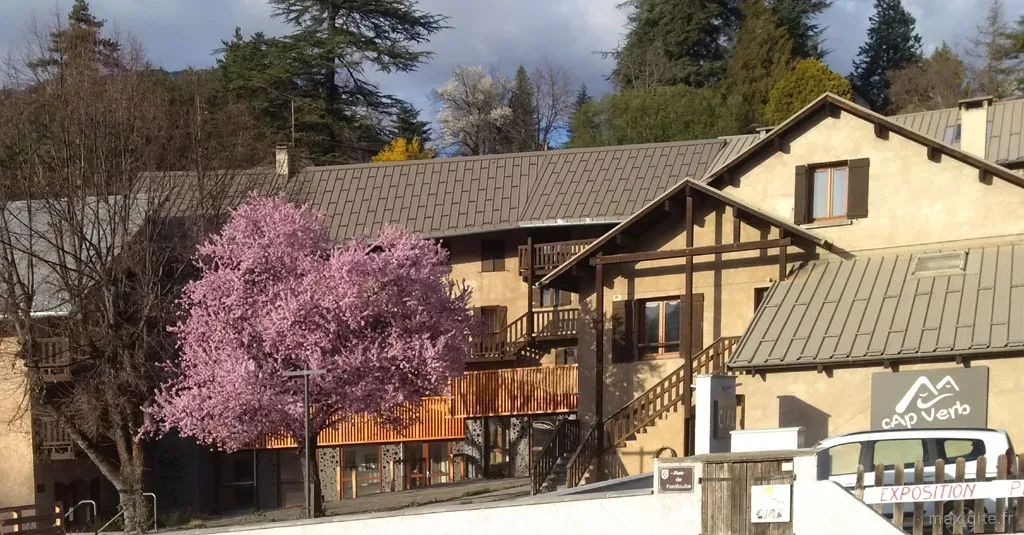 Gîte de groupe CapVerb - Le CIAL à Guillestre — Façade du centre de vacances CapVerb avec cerisier en fleurs et bâtiment principal, capacité 100 personnes