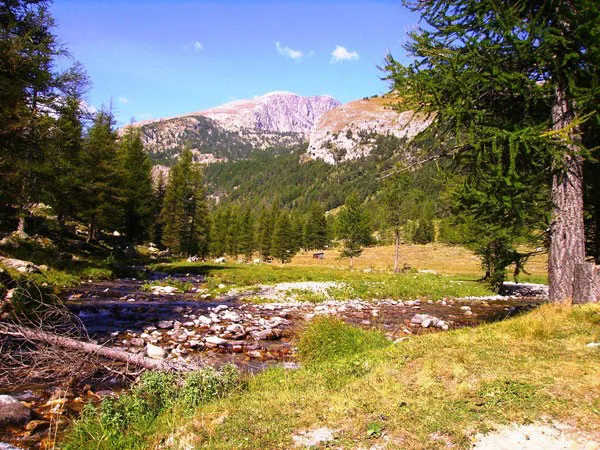 Paysage de montagne avec ruisseau coniferes et sommet rocheux dans la vallee de la Roya
