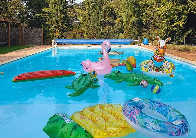 Piscine chauffée avec bouées gonflables colorées flamant rose et crocodile, entourée de verdure et terrasse en pierre