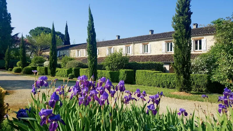 Façade en pierre des gîtes avec volets blancs, haie taillée, cyprès et massif d'iris violets au premier plan sous un ciel bleu